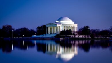 Washington D.C.