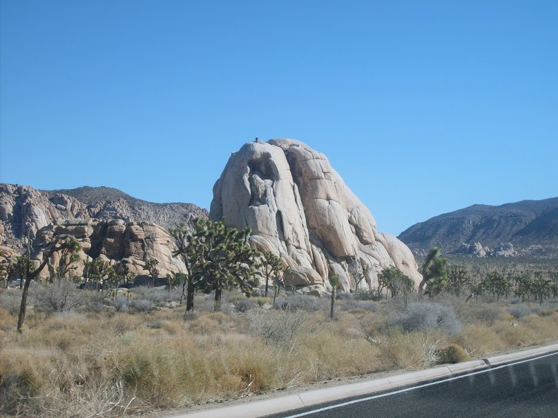 Joshua Tree