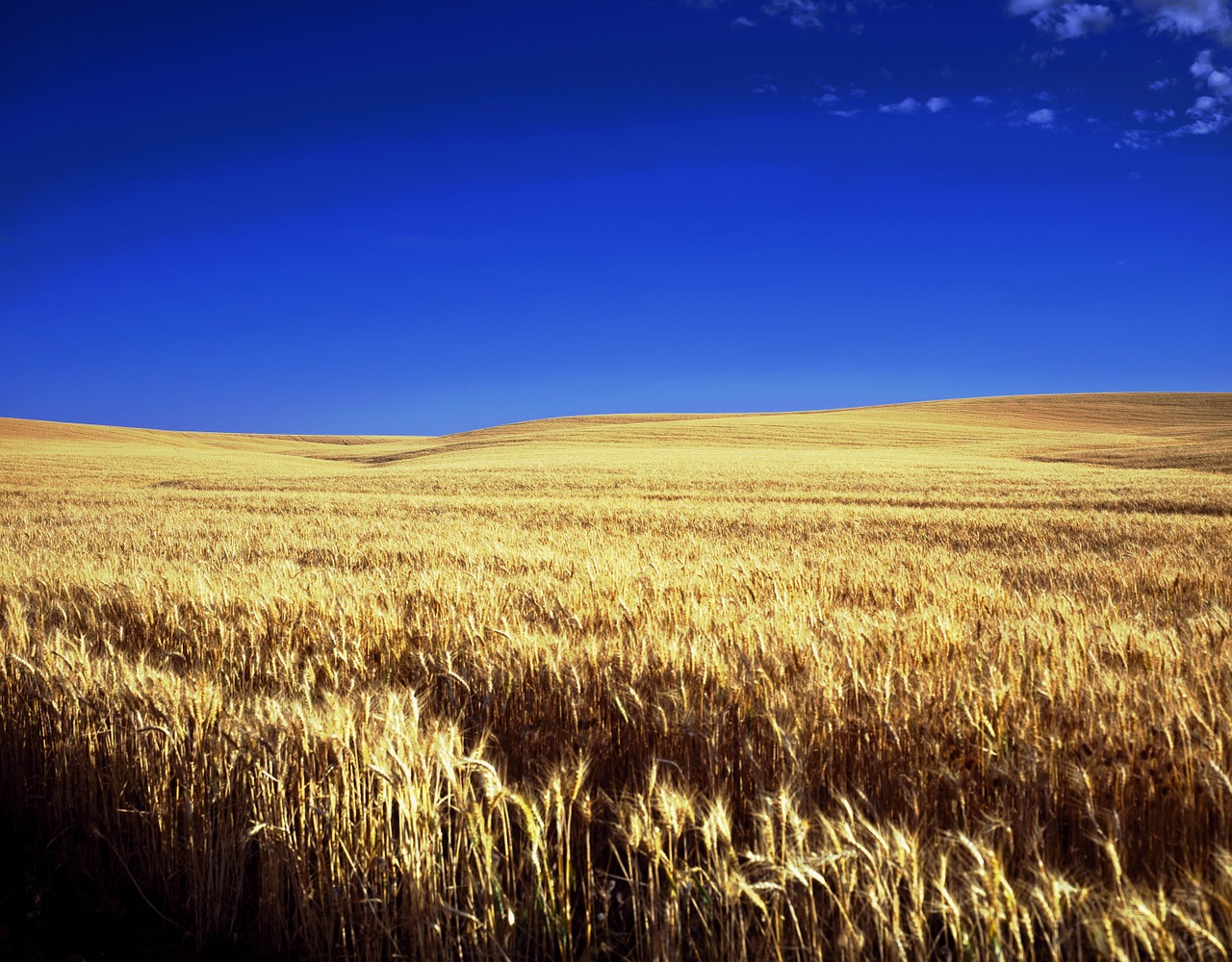 Kansas