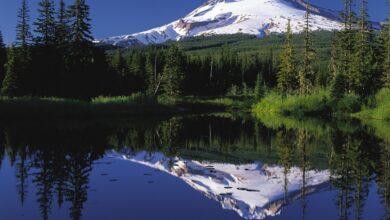 Oregon