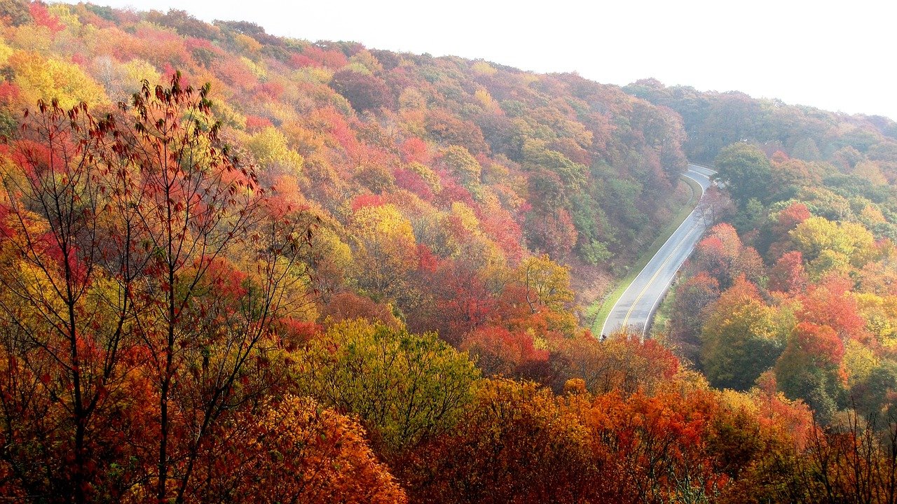 North Carolina