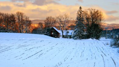 Vermont
