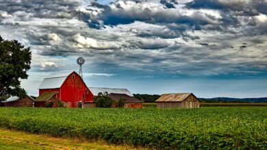 Wisconsin